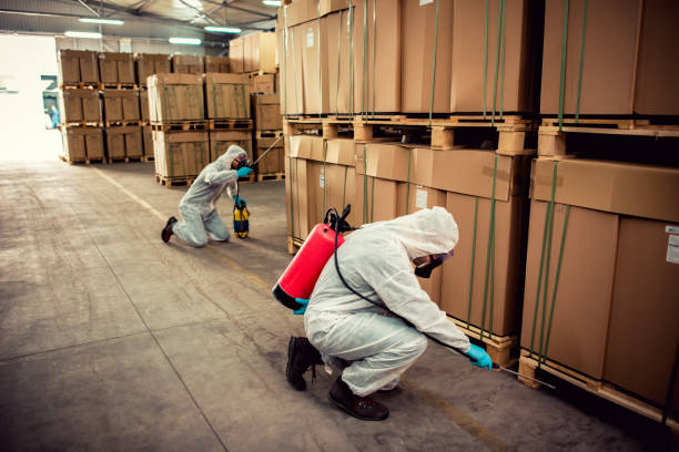 Best Cockroach Control Services  in Centerville, IA