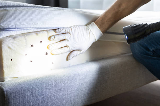 Best Emergency Pest Control  in Centerville, IA