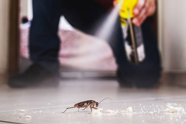 Best Local Pest Control Services  in Centerville, IA