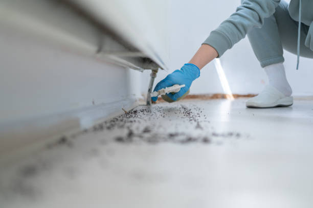 Best Mosquito Control Services  in Centerville, IA