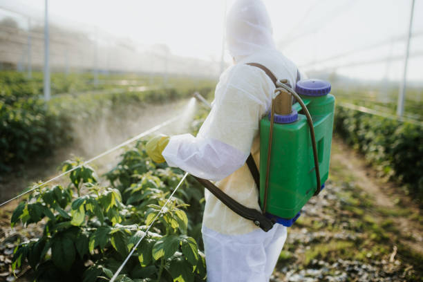 Best Commercial Pest Control Services  in Centerville, IA